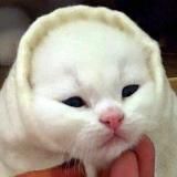 пошуршим🇺🇦