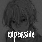exp3ns1ve🫡