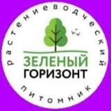 Саженцы Гортензии🌸 Хвойные, декоративные кустарники (Питомник Зелёный Горизонт)