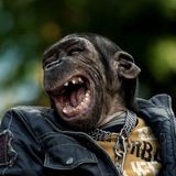 Смачный юмор