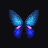 Творчество Мавроди