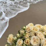 🧸⅌ᎯϪᎾℭƬᏏ💜