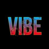 VIBEMONEY • TEAM