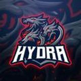 Работа Hydra