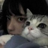 Платиновый предел