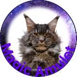 Мейн Кун котята Норильск