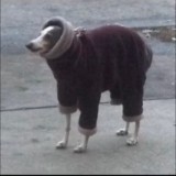 фулл с тик тока