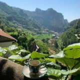 ⚜ ᴍᴀʀʟʙᴏʀᴏ | ᴍᴜᴢ ⚜