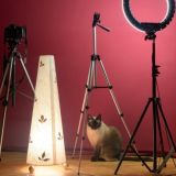 📩CHAT - International Art Community