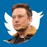 Твиттер Илона Маска | Elon Musk