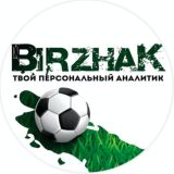 BirzhaK ( Твой персональный аналитик )