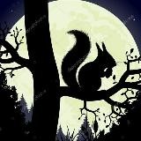 Мистика из директа Белки