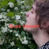 °Б•Л°Е•Д°Н•Ы°Е•