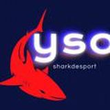 «SharkDesport» 🦈 ПРОГНОЗЫ ⚽️