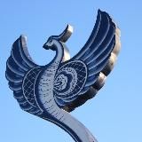 МКУ «ТУ Гжельское» Раменский г.о.