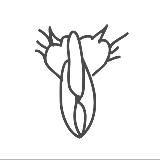 Раскрепощение