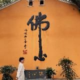 网红|整活达人|娱乐至上