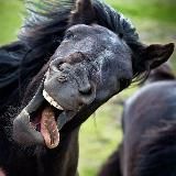 УгарПриколСмех