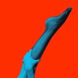 Фитнес-Фьюжн