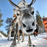 ХМАО инсайд | ЧАТ