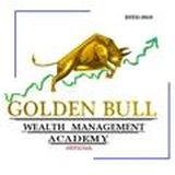 GOLDEN BULL WEALTH MANAGEMENT