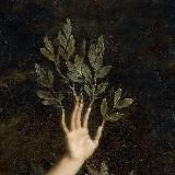 Patroclus was pisces🧦