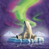 Полярная мозаика