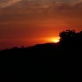 Тийна суьйре