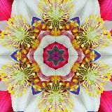 Околомедицина с Лерой Гейтвэй