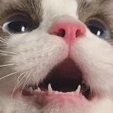 ху(д)еем аче