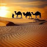 Арабский язык перед тобой( بين يديك)