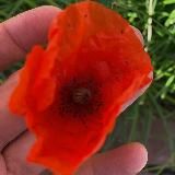 🔥 спонтанные слоты 🖐🏽