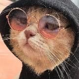 Важные статистические опросы