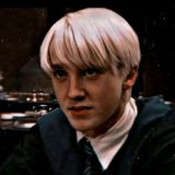 💚𝙿𝚘𝚟 𝚠𝚒𝚝𝚑 𝙳𝚛𝚊𝚌𝚘🐍