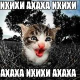 Selfology • Типологии