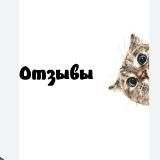 Работаем сидя на диване 😈