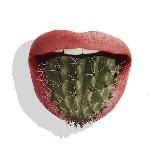 Иглоязычие | Фразы