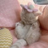 милые текста 💌