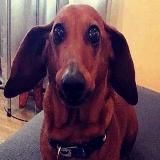 Рандомная хyeта