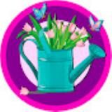 Цветочные Мечты