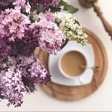 🌸BLOOMING HOME 🌸