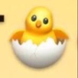 Цыплята🐣