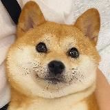 二狗福利站🈲模特/私拍/定制/写真