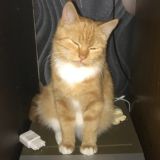 Юра, что вы сделал?!?!lll