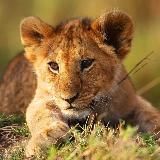 Discovery "Райский уголок"