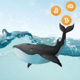 Krypto Impulse ⚡️