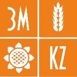 ЗМ канал