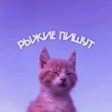 рыжие пишут 🪐
