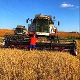 Agro_fermer116