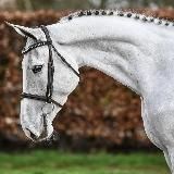 ♡белоснежные лошадки♡